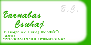 barnabas csuhaj business card